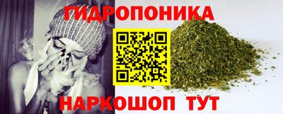 прущая мука Кимры