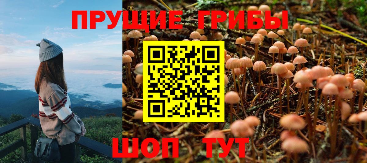 Галлюциногенные грибы ЛСД  Галлюциногенные грибы Psilocybe  Котовск  Вход с VPN 